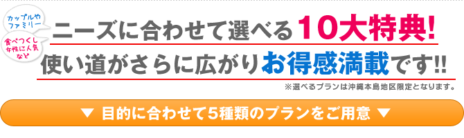 ニーズに合わせて選べる10大特典