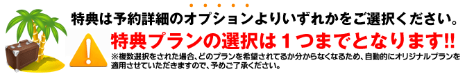10大特典は1つだけ選択してください