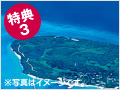 平田観光