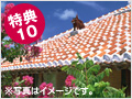 体験ダイビング １５％OFF