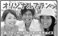 オリジナルプランプラン