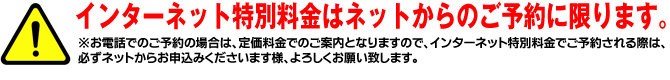 インターネット特別料金はネット限定です
