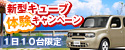 新型キューブキャンペーン