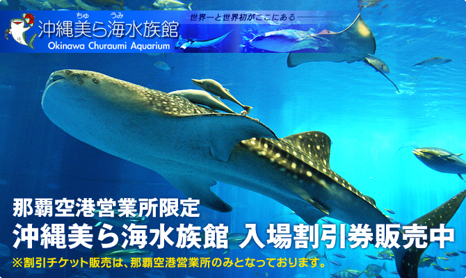 美ら海水族館割引チケット販売中