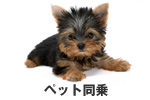 ペット同乗