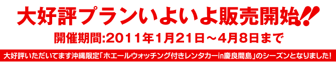 期間限定プラン販売開始