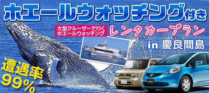 ホエールウォッチング付きレンタカープラン