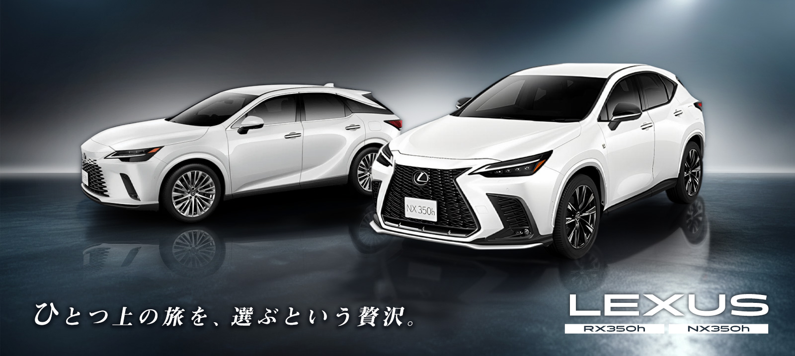 【成田空港店限定】レクサスSUV 特別プラン