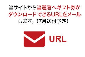 レンタカーご利用日に、店頭でカードをお渡しいたします。