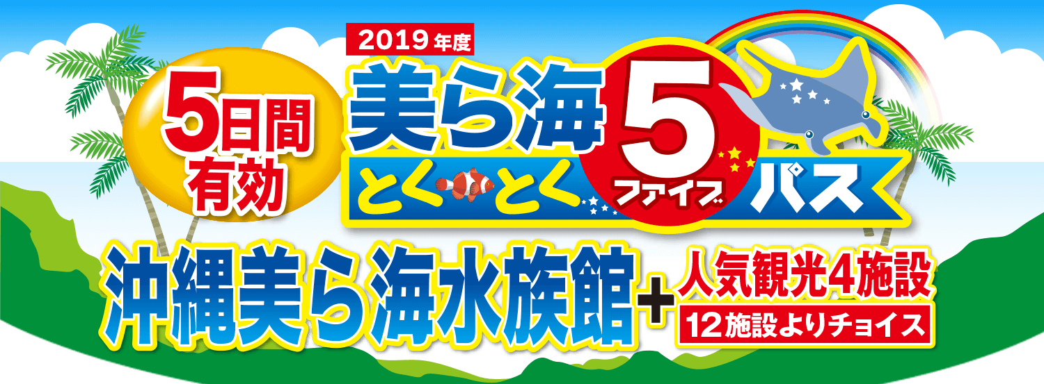 2019年度　美ら海5とくとくパス