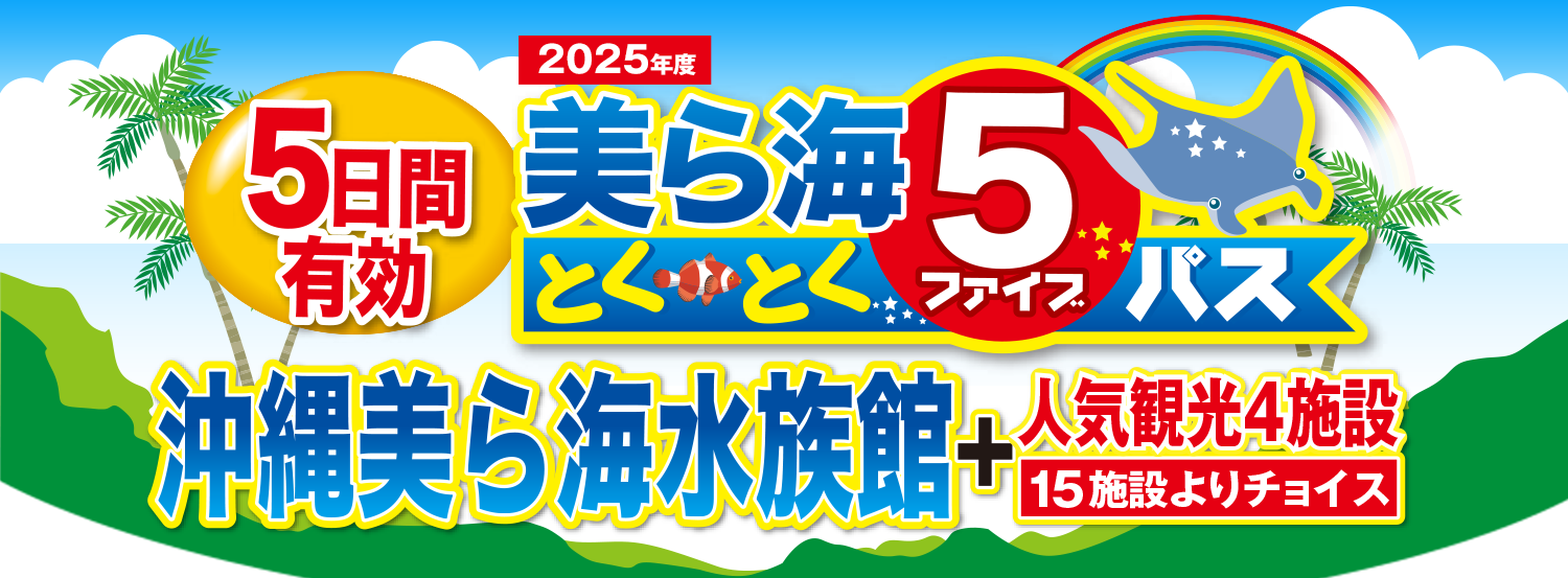 2025年度　美ら海5とくとくパス