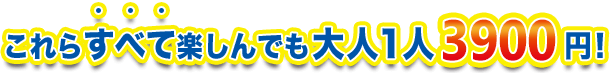 これらすべて楽しんでも大人１人3200円！