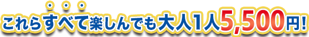 これらすべて楽しんでも大人１人4,400円！