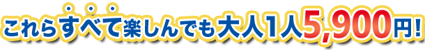 これらすべて楽しんでも大人１人5,900円！