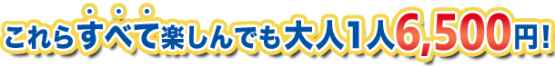 これらすべて楽しんでも大人１人6,500円！