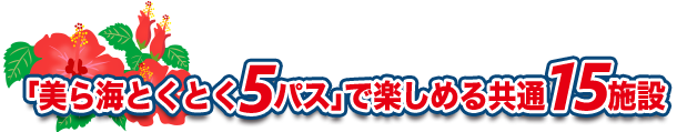 美ら海とくとく5パス」で楽しめる共通15施設