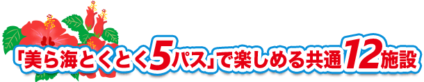 美ら海とくとく5パス」で楽しめる共通12施設