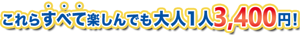 これらすべて楽しんでも大人１人4,400円！