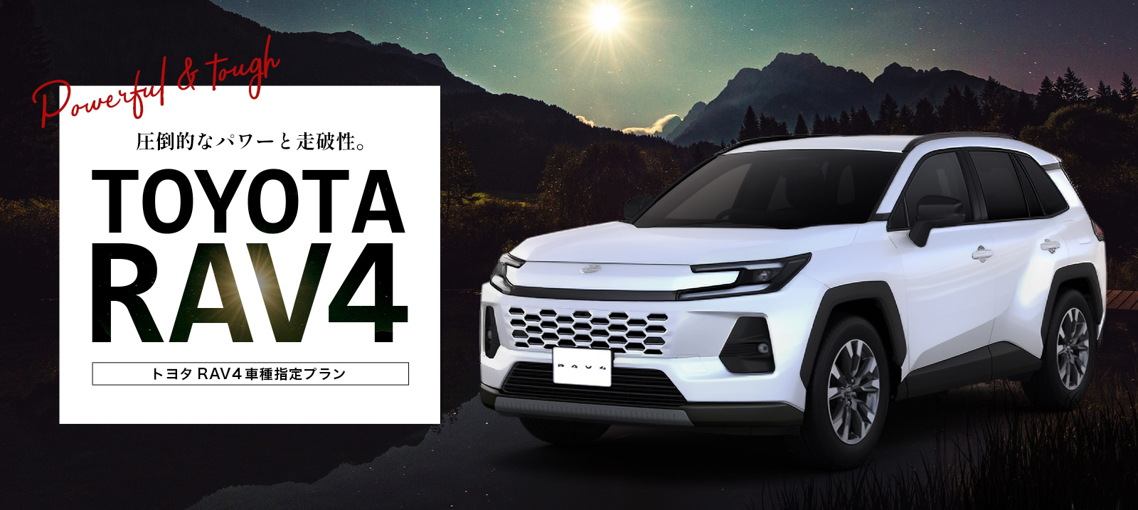 ２０代限定ヤングプラン