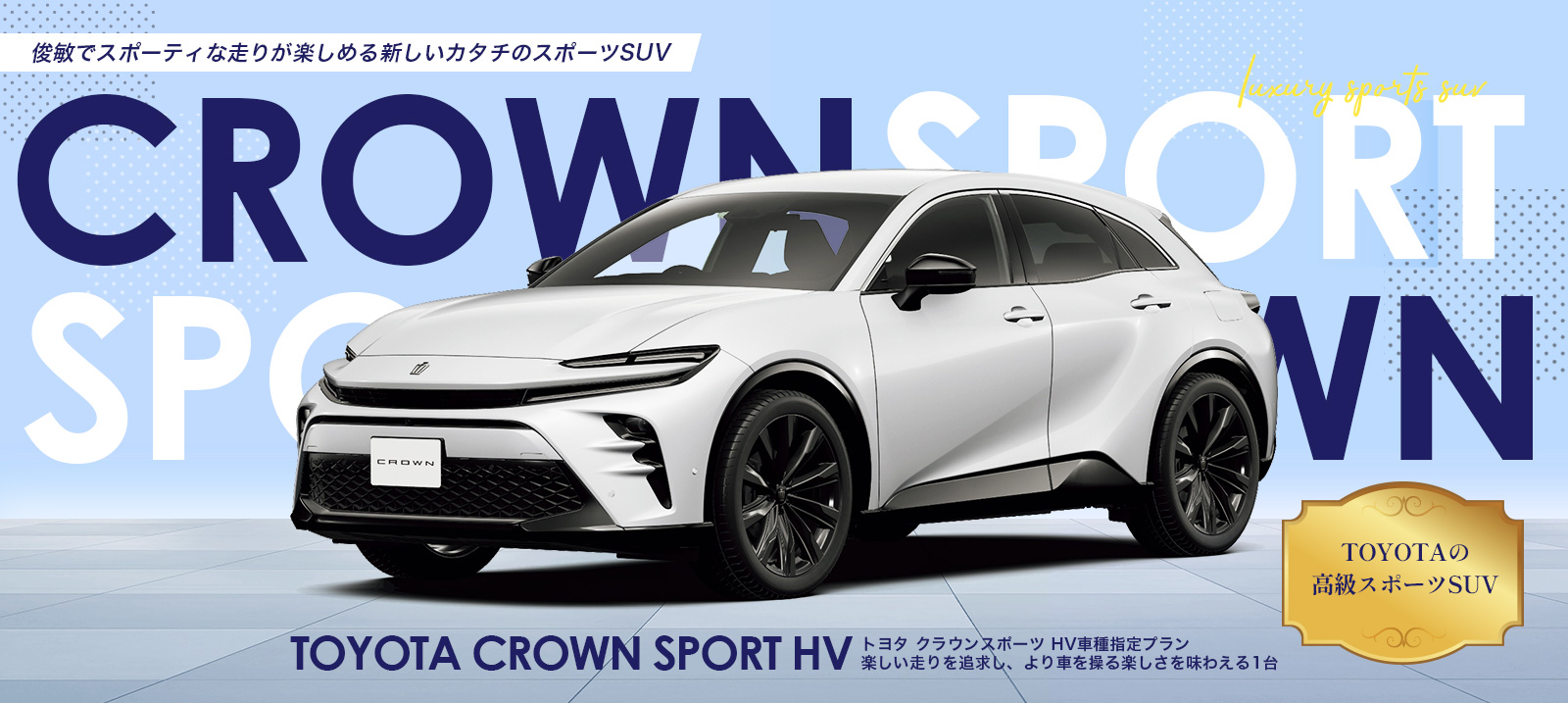 ２０代限定ヤングプラン