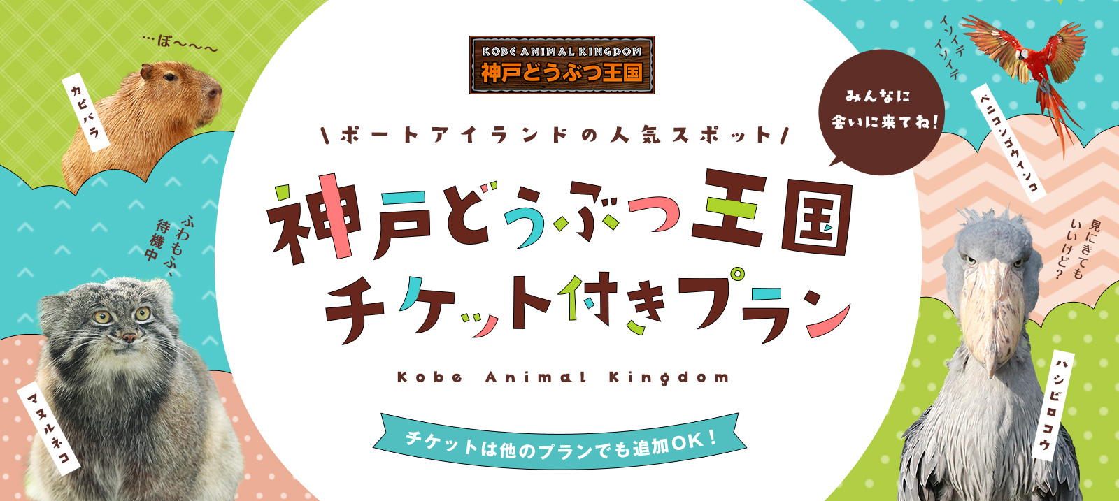 ２０代限定ヤングプラン