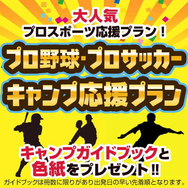 プロ野球・プロサッカー沖縄・宮崎キャンプ応援プラン