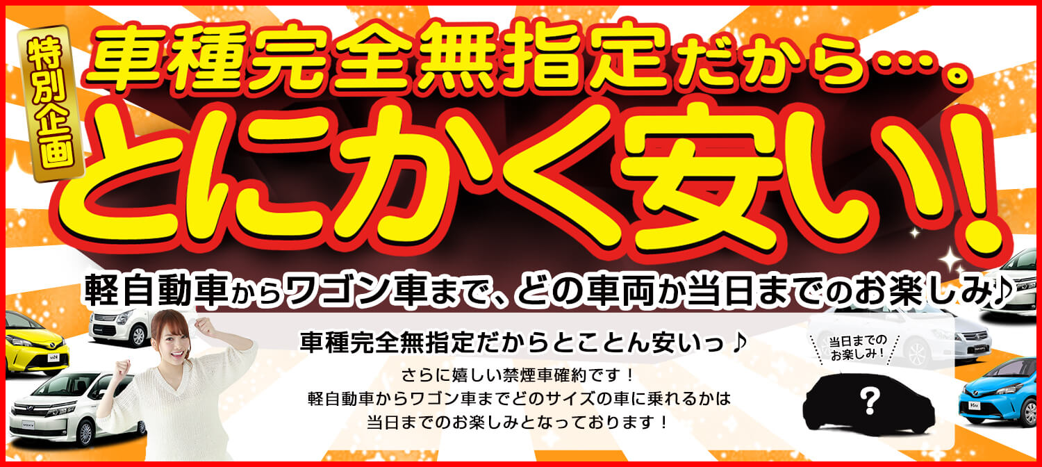 車種無指定（最大定員４名）軽自動車からワゴン車まで当日何が出てくるかお楽しみ